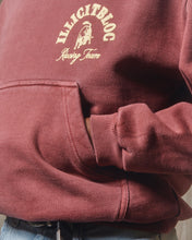 Load image into Gallery viewer, RACING TEAM HOODIE - WASHED BURGUNDY
