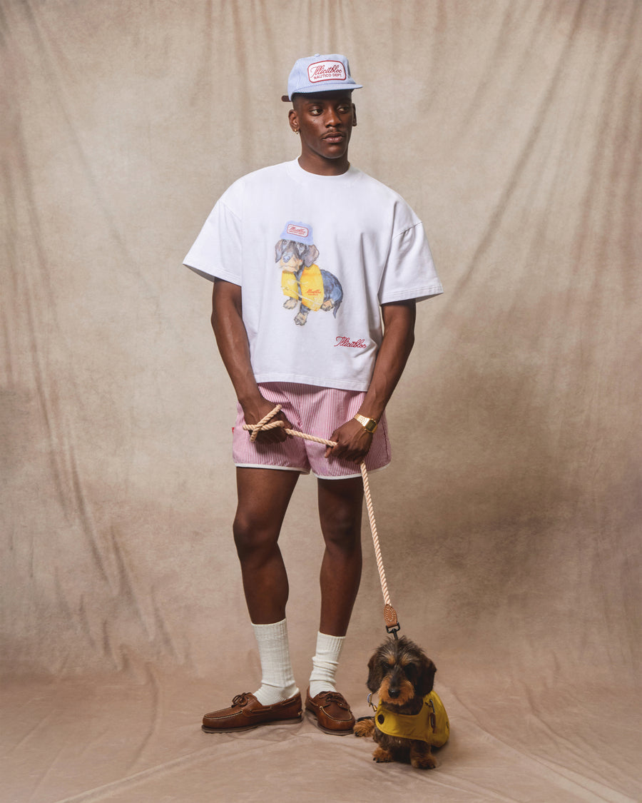 DECK DACHS T-SHIRT - WHITE