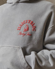 Load image into Gallery viewer, RACING TEAM HOODIE - POWDER GREY
