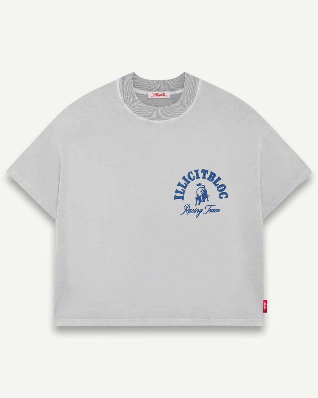 RACING TEAM T-SHIRT - POWDER GREY