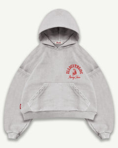 RACING TEAM HOODIE - POWDER GREY
