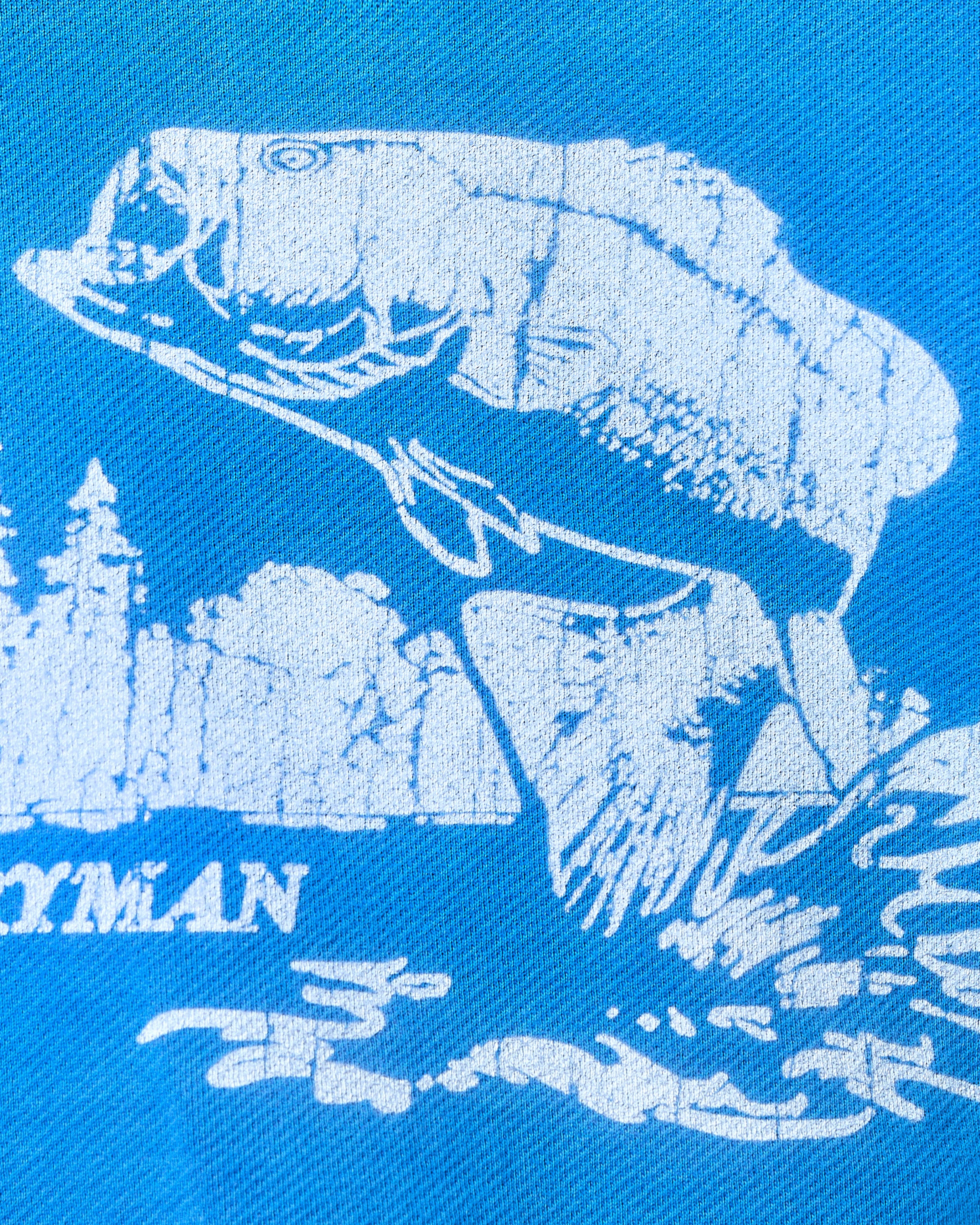 CATCH OF THE DAY HOODIE - COBALT BLUE